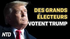 Élections américaines – Des grands électeurs votent Trump dans 5 États-clés