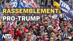 Élections américaines – Rassemblement Pro-Trump à Washington pour demander des élections honnêtes