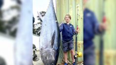 Un jeune garçon de 10 ans capture un énorme thon de presque 90kg au large des côtes de Tasmanie, établissant ainsi un nouveau record