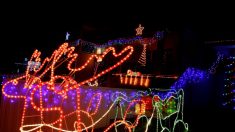 Orléans : il décore sa maison et son jardin de centaines de lumières de Noël chaque année depuis 30 ans