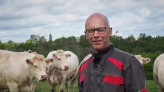 Les éleveurs de bovins reprochent à l’État son double discours et des effets d’annonce