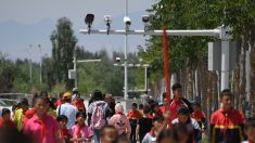 Xinjiang: un logiciel chargé de repérer les comportements suspects (rapport)