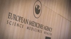 Virus: cyberattaque contre l’Agence européenne du médicament, des documents de Pfizer piratés