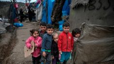 L’ONU enjoint aux Pays-Bas de changer la loi sur les enfants apatrides