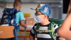 Autriche : la Cour suprême juge « illégale » le masque obligatoire à l’école et les cours en alternance