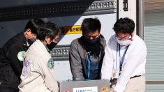Les scientifiques japonais « sans voix » devant des échantillons d’astéroïde