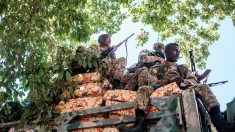 Ethiopie: l’armée tue 42 hommes armés soupçonnés de massacre (autorités)