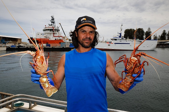 - Le pêcheur Michael Vinci tient des homards vivants à acheter directement sur le bateau par des clients alignés sur le quai du port de pêche à Fremantle en Australie, le 10 décembre 2020. Photo par Trévor Collens / AFP via Getty Images.
