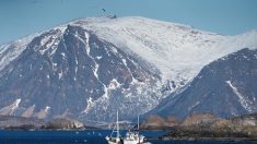 Pêche: la Norvège menace de fermer ses eaux à l’UE et au Royaume-Uni