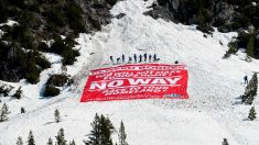 Opération anti-migrants dans les Alpes : relaxe en appel pour Génération identitaire