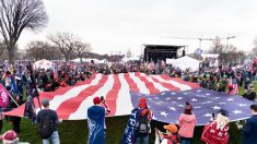 Des dizaines de milliers de manifestants se rassemblent à Washington pour exiger l’intégrité des élections
