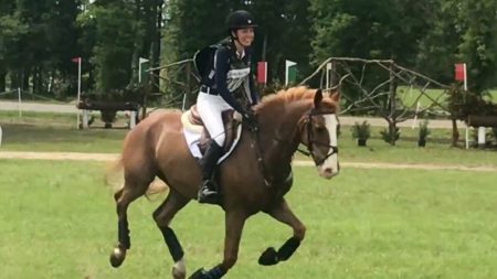 Un cheval au seuil de la mort, sauvé probablement d’un laboratoire de méthamphétamine, est maintenant un cheval de course nationale