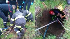 Nord : une petite fille de 7 ans tombe dans un puits de 10 mètres rempli d’eau glacée et est sauvée par les pompiers