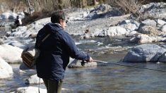 Gironde : ils pêchent un poisson d’une taille remarquable « après un combat très sportif »