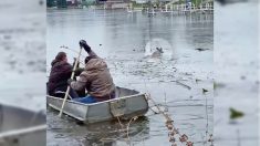 À l’aide d’un bateau à rames, de bons samaritains sauvent un faon en difficulté dans un lac glacé