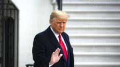 EXCLUSIF – «Je n’ai pas vu Donald Trump transpirer du tout»: l’ancien président n’est pas déstabilisé par la descente du FBI, signalent les parlementaires du GOP