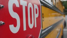 Aisne : un petit garçon de 3 ans oublié toute la matinée dans le froid dans son bus scolaire