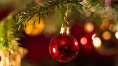 Calvados : les décorations de Noël de la commune de Beuvillers ont été vandalisées