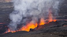 La Réunion : Le Piton de la Fournaise en éruption pour la troisième fois de l’année