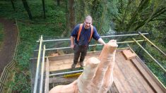 Un homme sculpte une main géante dans le plus grand arbre du pays de Galles, gravement endommagé par une tempête