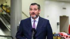 Le sénateur texan Ted Cruz : toute personne « impliquée dans une fraude électorale » devrait être poursuivie et mise en prison