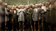 Un photographe colorise des photos de l’Holocauste, leur donnant vie « pour que cela ne se reproduise plus jamais »