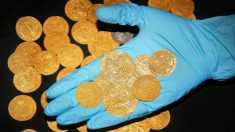 Un jardinier déterre 63 pièces d’or médiévales portant les initiales des trois premières épouses d’Henry VIII