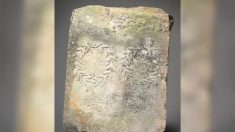 Une femme découvre que le marchepied en pierre trouvé dans son jardin est en fait une ancienne dalle romaine d’une valeur de 17.000 euros