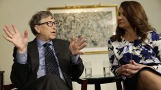 Selon un rapport : Bill Gates est maintenant le plus grand propriétaire de terres agricoles aux États-Unis