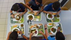 Béziers : la mairie supprime les menus sans porc dans les cantines de certaines écoles