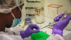 L’Institut Pasteur annonce l’arrêt de son principal projet de vaccin contre le coronavirus