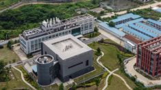 Le scientifique américain qui a condamné la théorie de la fuite du laboratoire de Wuhan admet qu’il protégeait les scientifiques chinois
