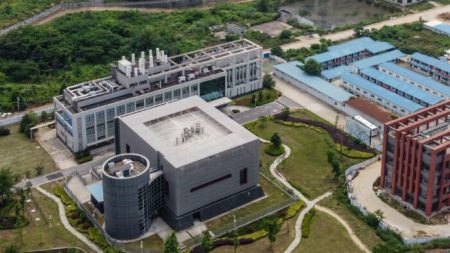 Des scientifiques du laboratoire P4 de Wuhan ont été atteints d’une maladie semblable au Covid-19 à l’automne 2019, selon le ministère des Affaires étrangères américain