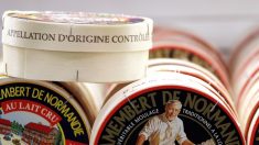 Camembert : l’étiquette « fabriqué en Normandie » bannie des rayons pour protéger l’AOP