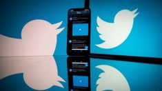 Twitter refuse de supprimer de la pédopornographie parce qu’elle n’enfreint pas les règles du réseau social