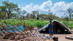 Afrique australe: le bilan du cyclone Eloise s’alourdit à 21 morts (ONU)