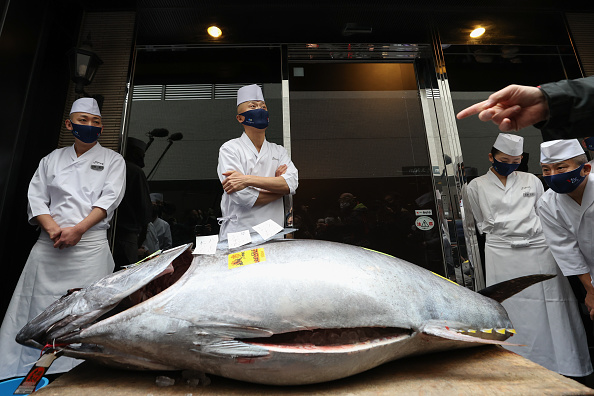 -Le grand grossiste Yamayuki a acheté le thon le plus cher, pesant 208,4 kilogrammes pour 20,84 millions de yens aux enchères de cette année, le 05 janvier 2021 à Tokyo, Japon. Photo par Takashi Aoyama / Getty Images.