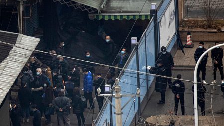 Chine: les experts de l’OMS visitent le marché de Wuhan au coeur du début de la pandémie