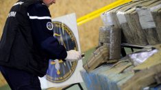 Seine-Saint-Denis : 31.000 euros et 233 kg de cannabis saisis dans un camion par la police