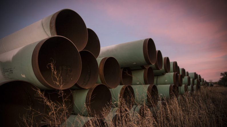 Des kilomètres de tuyaux inutilisés, préparés pour le Pipeline Keystone XL, reposent sur un terrain à l'extérieur de Gascoyne, dans le Dakota du Nord, le 14 octobre 2014. (Andrew Burton/Getty Images)
