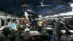 Londres interdit les importations liées au travail forcé des Ouïghours