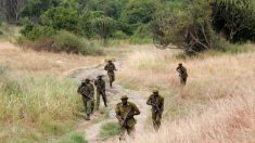 République démocratique du Congo : au moins six éco-gardes tués par des hommes armés dans le parc des Virunga