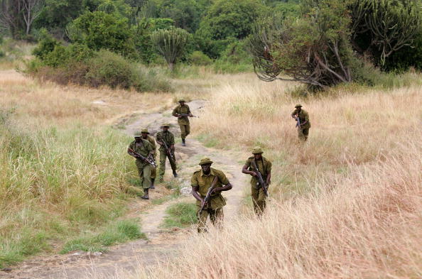 Des gardes forestiers congolais effectuent une patrouille de combat le 21 juillet 2006 à Ishango, dans le parc national des Virunga, à l'est de la République démocratique du Congo.  (Photo : John Moore/Getty Images)