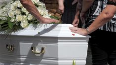 Calvados : une entreprise des pompes funèbres propose un corbillard tiré par un cheval pour les enterrements