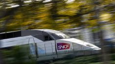 SNCF Connect : sous le feu des critiques des utilisateurs