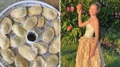 Une jeune Néo-Zélandaise crée une robe avec des gousses de mangue pour sensibiliser au gaspillage alimentaire