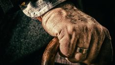 Haute-Garonne : à 97 ans, ce vétéran guérit du coronavirus : « Le plus difficile, c’était la guerre, bien sûr ! »
