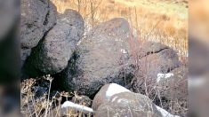 Pouvez-vous apercevoir le puma « caché  » dans les rochers sur cette photo ?