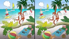 Pouvez-vous repérer 10 différences dans cette chaleureuse scène sur une plage tropicale ? (Oui, nous aussi voulons y aller !)