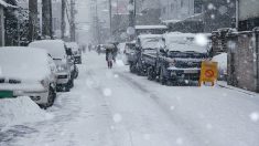 Haut-Rhin : la neige bloque des camions dans les cols vosgiens